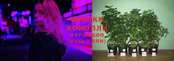 мдпв Надым