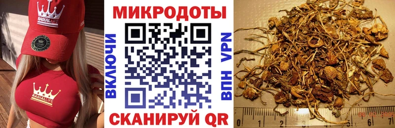 Галлюциногенные грибы Psilocybe  где купить наркотик  МЕГА маркетплейс  Армавир 