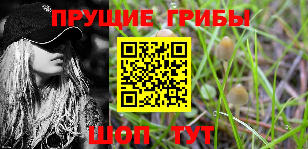 Псилоцибиновые грибы мицелий Армавир