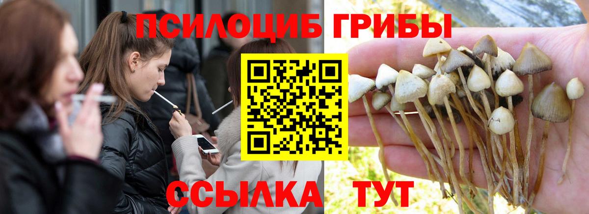 Псилоцибиновые грибы прущие грибы  магазин продажи наркотиков  Армавир  Вход с VPN  Галлюциногенные грибы ЛСД 