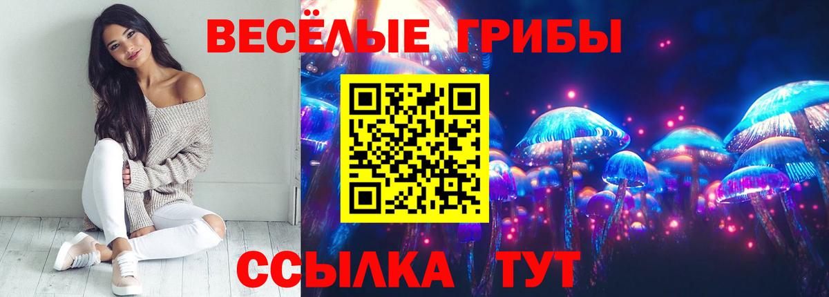 Галлюциногенные грибы Psilocybine cubensis  Армавир 